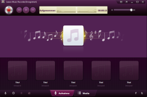 Schritt 2 Aufnahmen starten