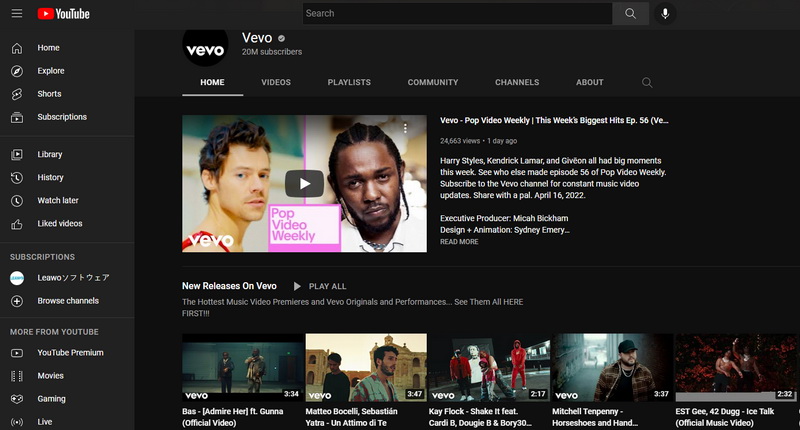 how-to-download-videos-from-vevo-video-downloaderhelper-4