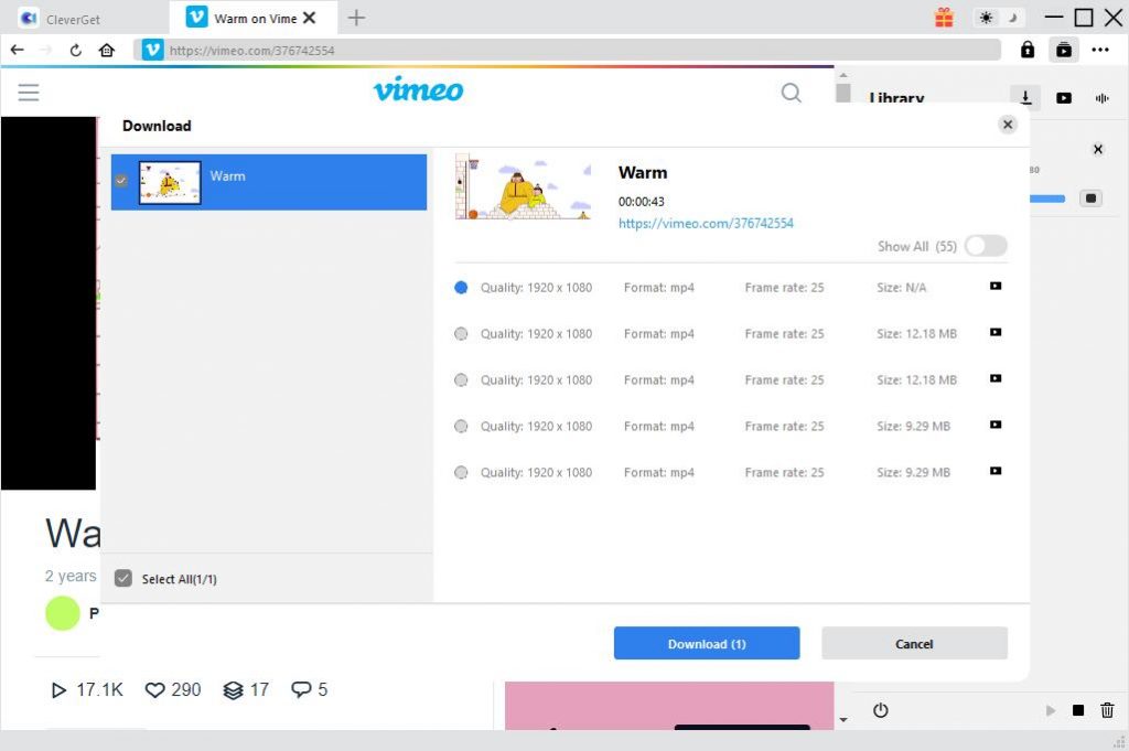 使用最佳 mp4 视频下载器下载 mp4 视频 1