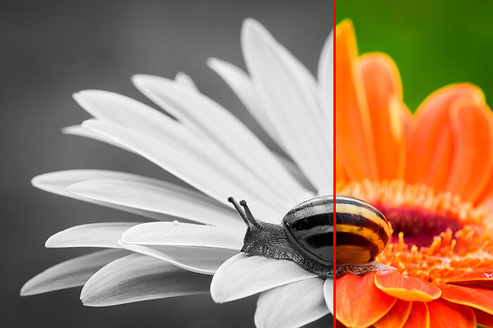What-is-Contrast-in-Photography