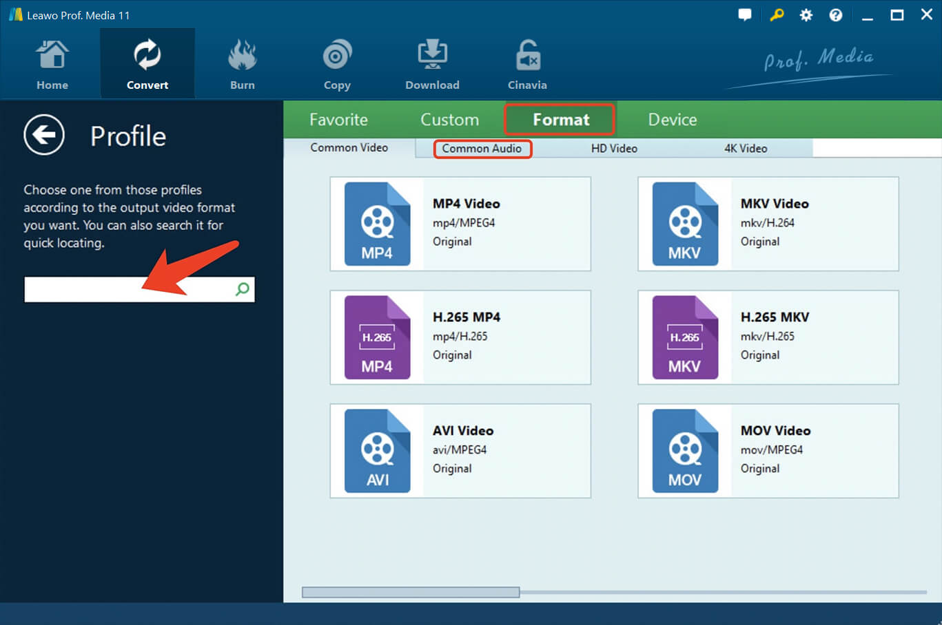  可以-quicktime-play-avi-set-ouput-format-04 