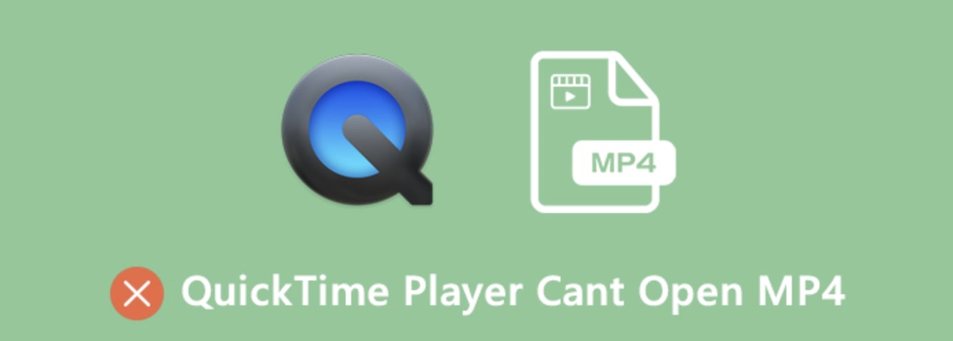  Why-QuickTime-Player-Can't-Open-MP4 