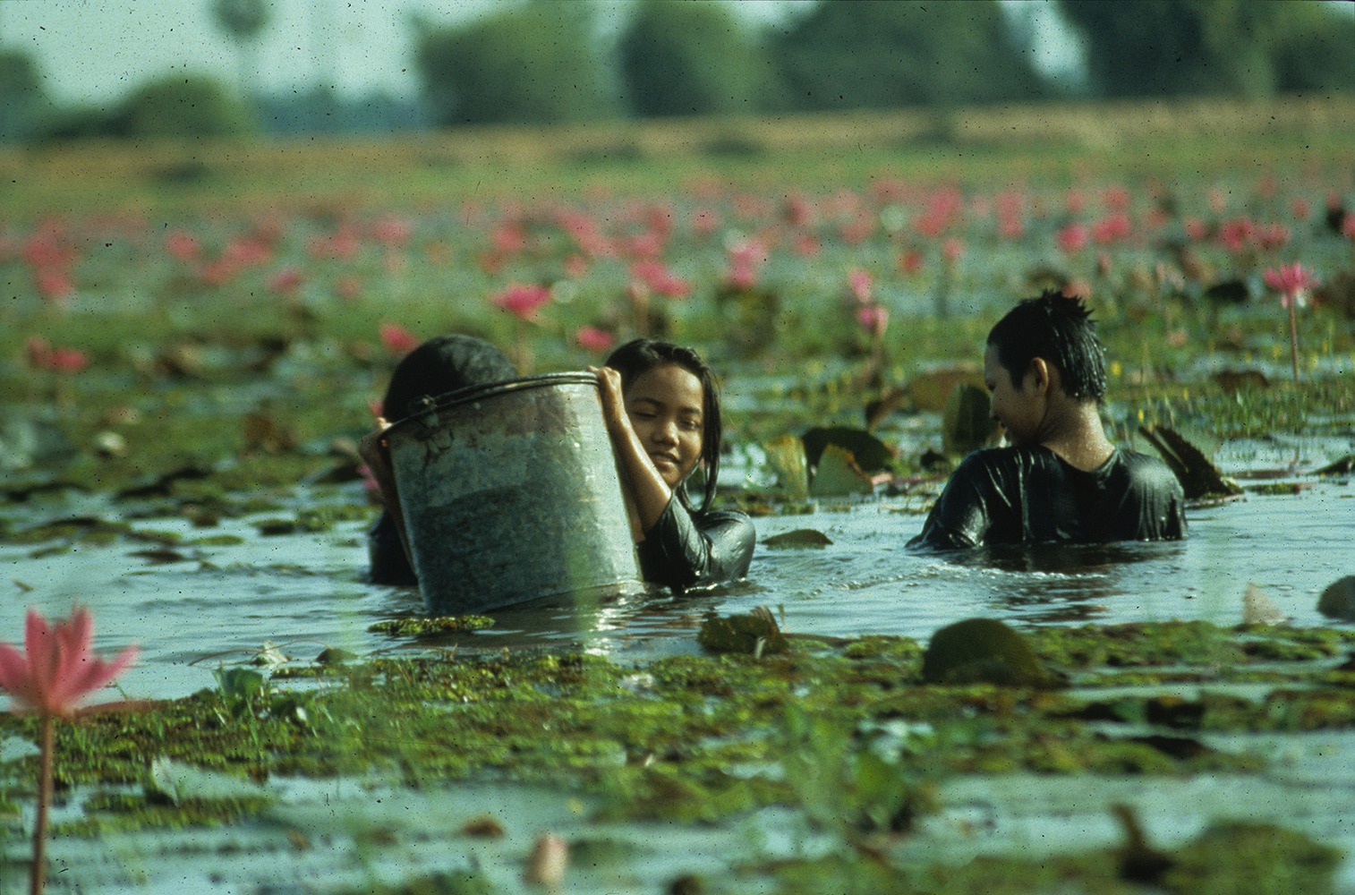 cambodia movie