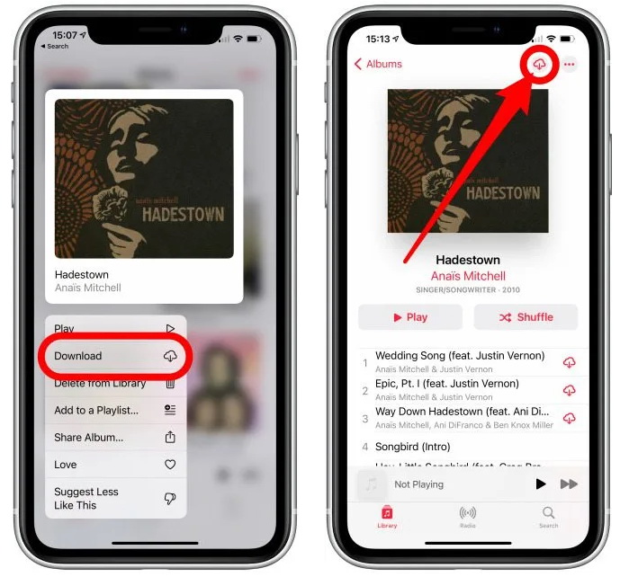 how-to-download-all-apple-music-on-iphone-1