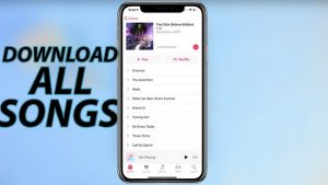 How to Download All Songs on Apple Music At Once?