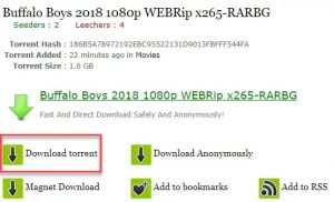 What Does WEB-DL, WEBRip, HDRip Mean?