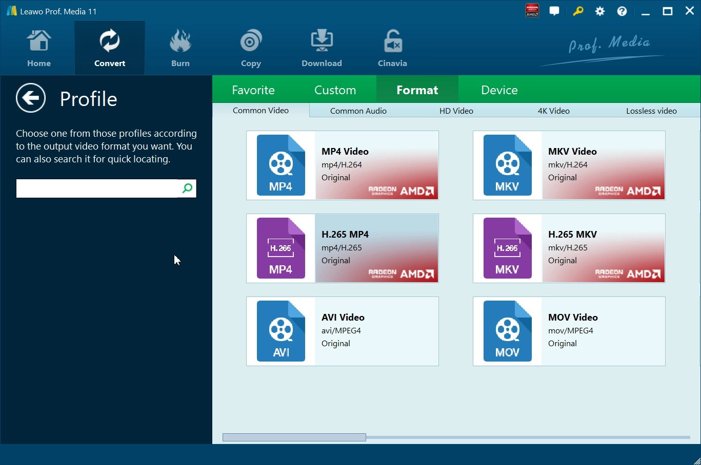    Can-a-Blu-ray-player-play-4K-leawo-set-output-format