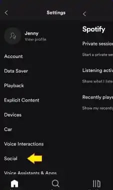  Spotify-web-player-private-session  