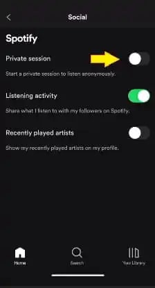  Spotify-web-player-set-privacy  