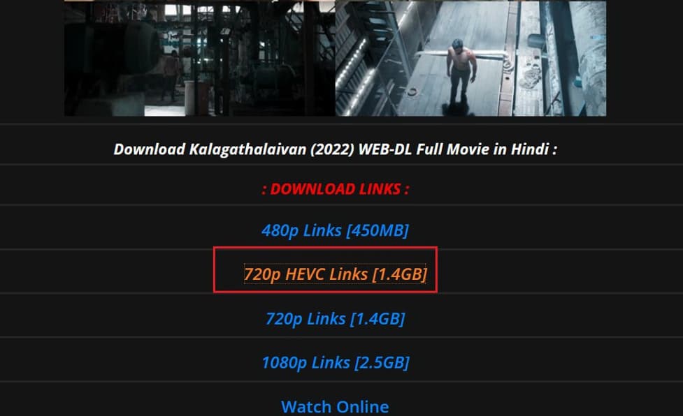 how-to-download-hindi-bollywood-movies-from-hdhub4u-hevc-3