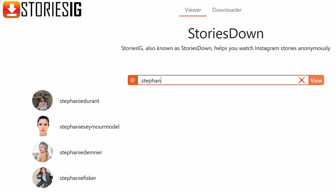 how-to-use-storiesdown-to-view-and-download-instagram-story-search-4