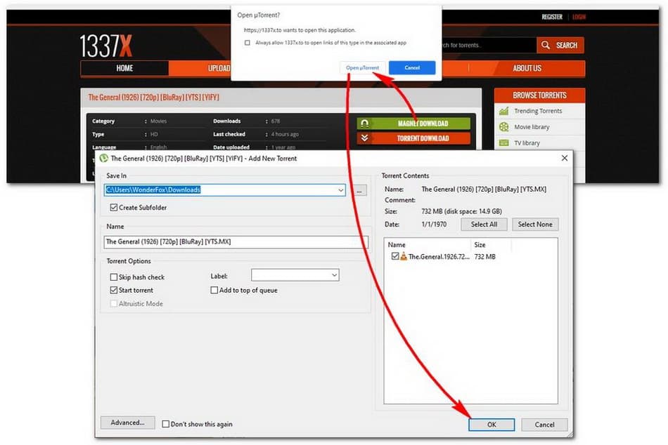 How-to-Use-1337x-for-Movie-Download-3