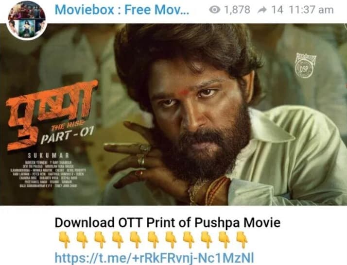 Pushpa-movie-download-in-Hindi-7