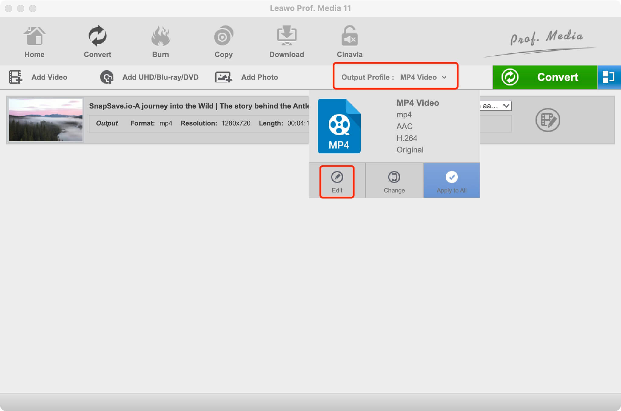   Youtube2mp3-leawo-editing-panel 