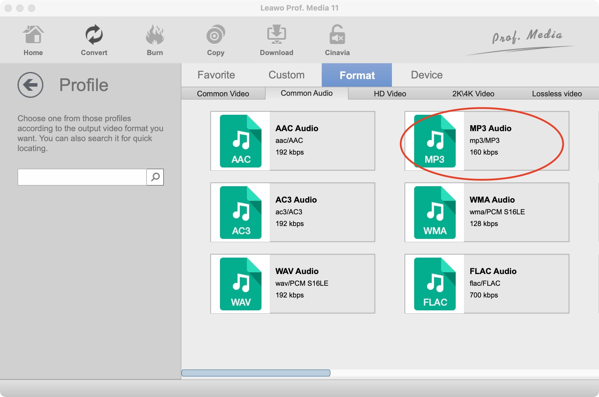  Youtube2mp3-leawo-set-output-format  