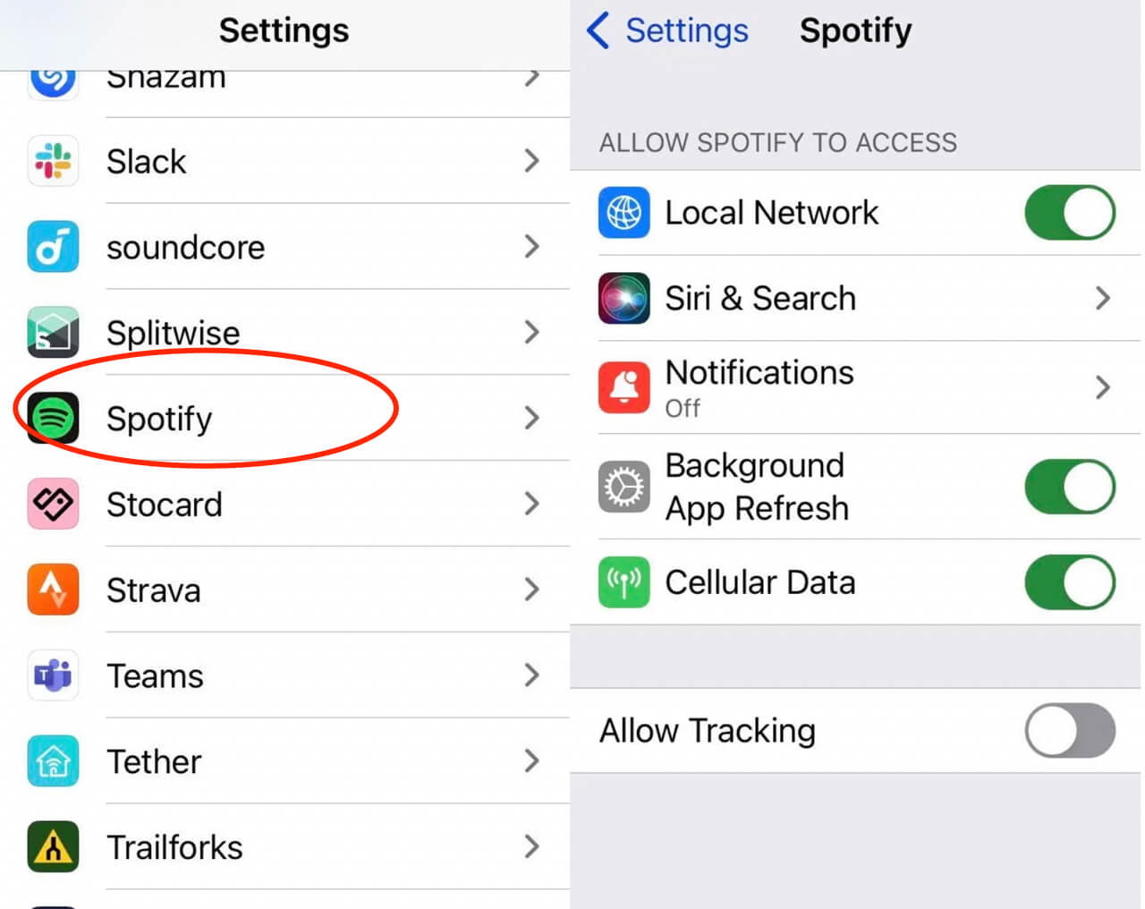 Spotify-no-internet-connection-enable-data-iphone  