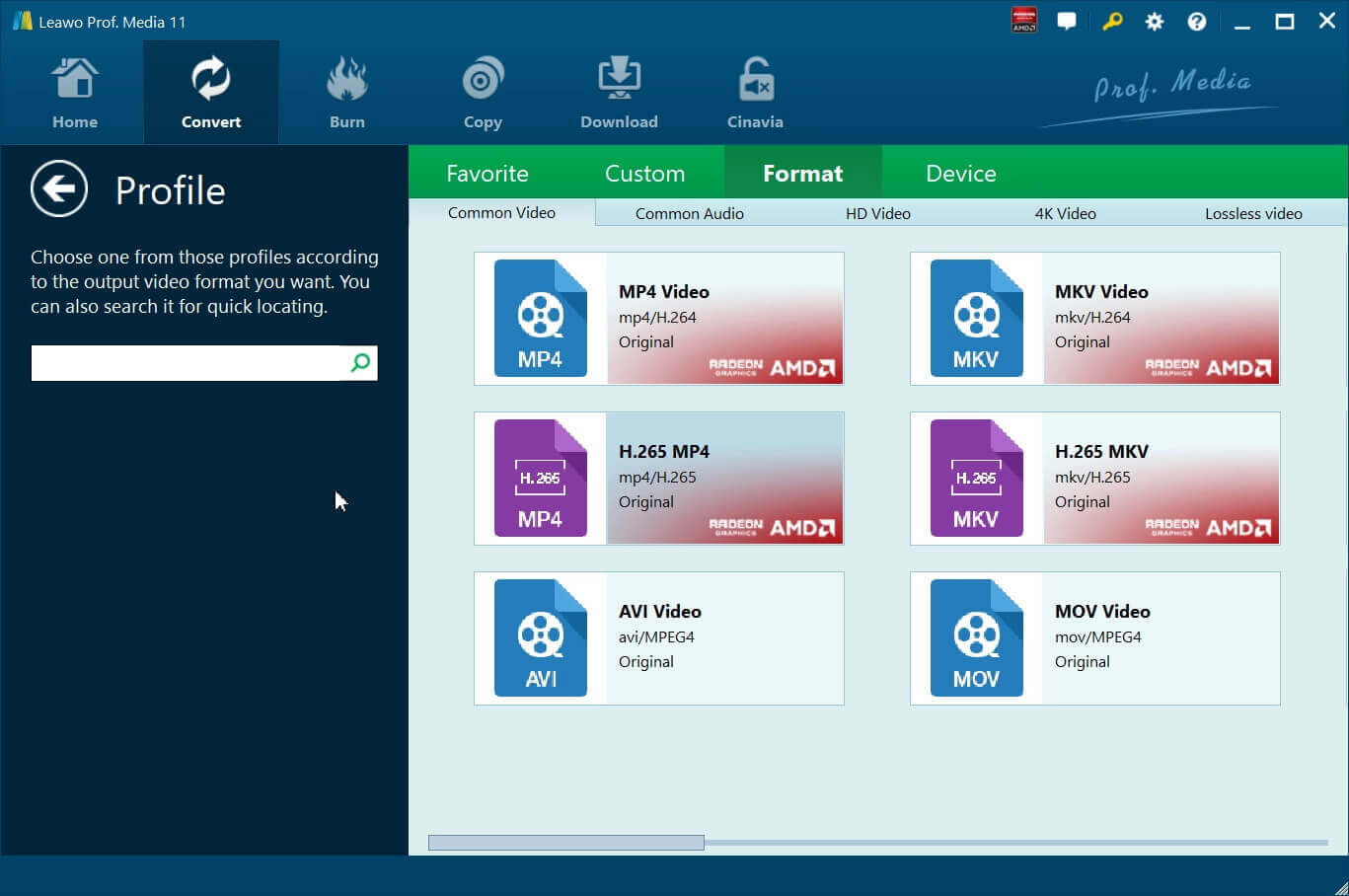  copy-video-ts-to-hard-drive-set-output-format  