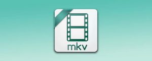How to Convert MKV to video_TS Folder Online/on PC?