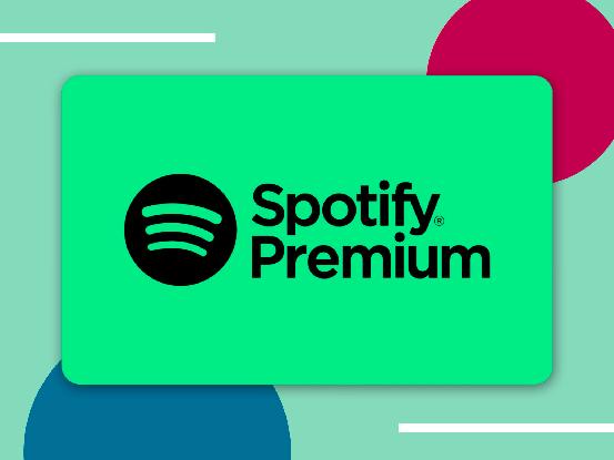  why-cannot-cast-spotify-premium  