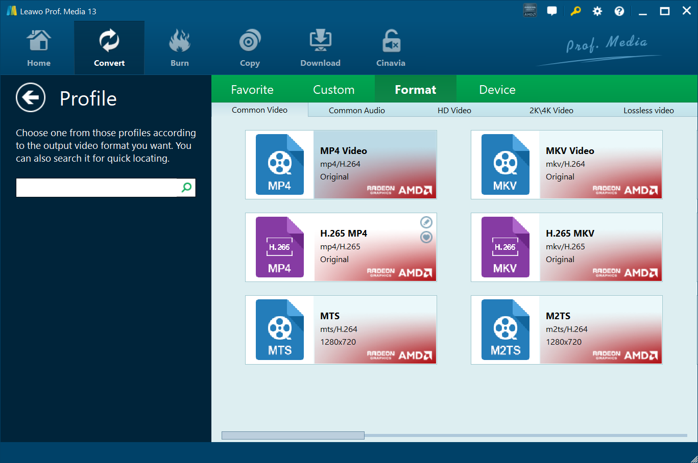 转变-Paramount-Plus 到 MP4 设置输出格式  