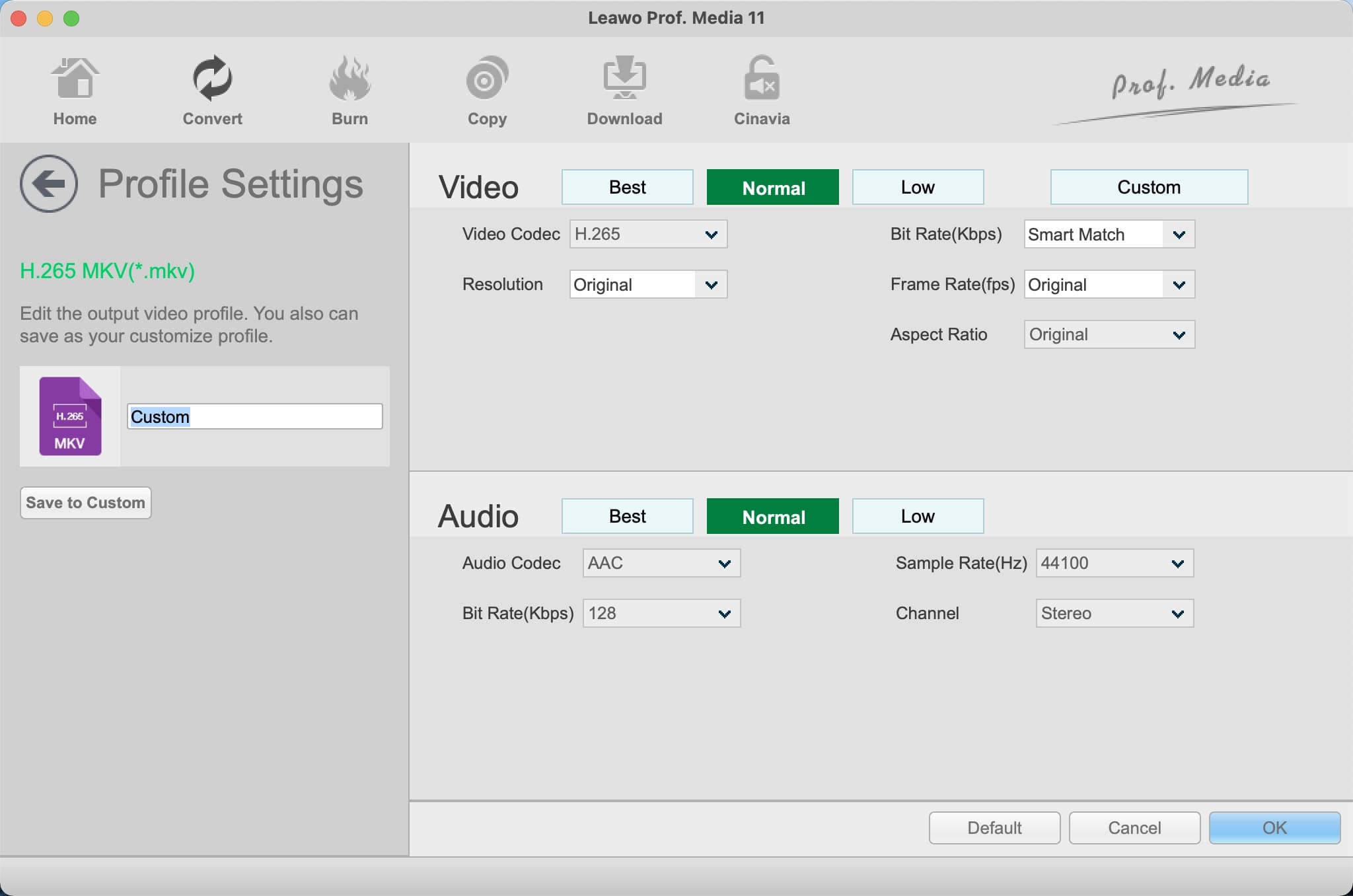  online-video-to-mp4-converter-set-parameters  