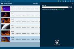 Set output directory