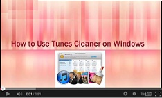 Leawo Tunes Cleaner Video Guide