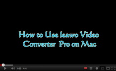 Video Converter Pro für Mac video guide