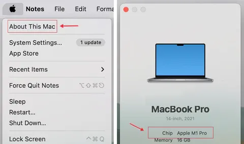 Check Mac chip type