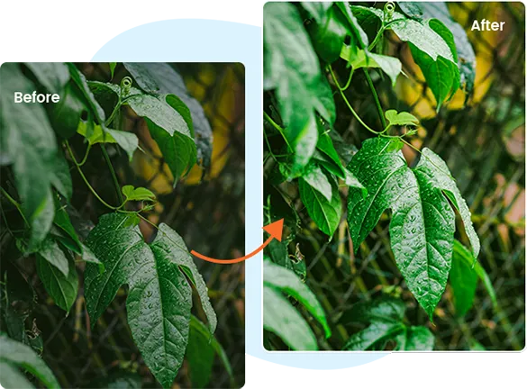 feature