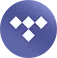 TIDAL 音楽変換