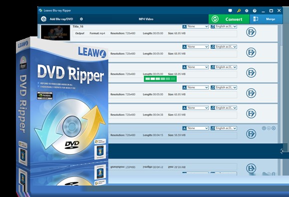 Leawo-DVD変換