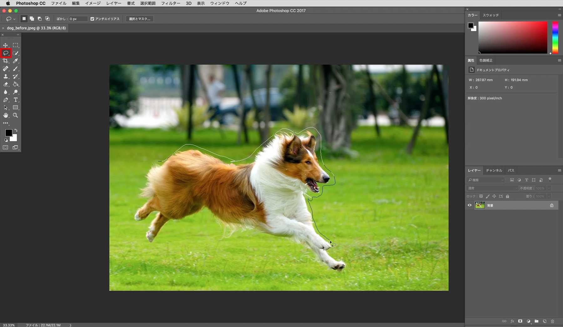 写真・画像の背景を簡単に切り抜きソフトおすすめ10選  Leawo 製品 