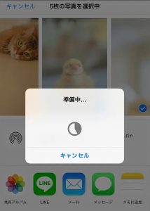 【最新】iPhoneカメラロールの写真の画質が悪くなる？設定を調整して...