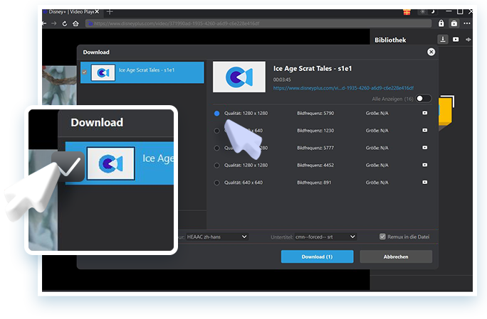 Disney Plus Downloader Step3