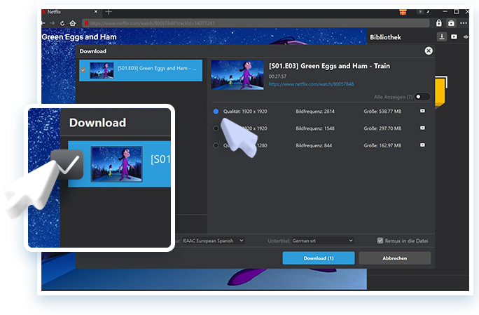 Netflix Downloader Step3