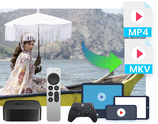 M6 Plus Downloader features