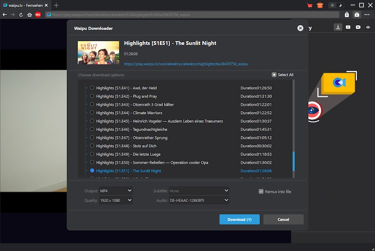 Waipu Downloader Step3