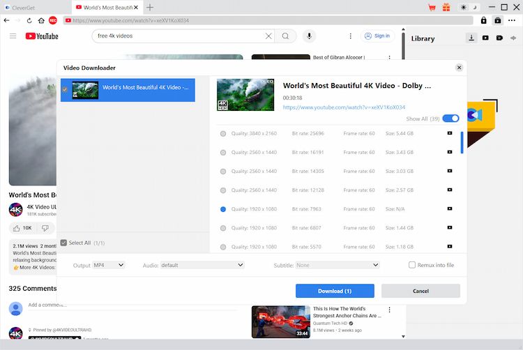 YouTube Downloader Ultimate Step3