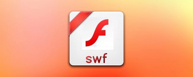 What-is-Flash-video-format