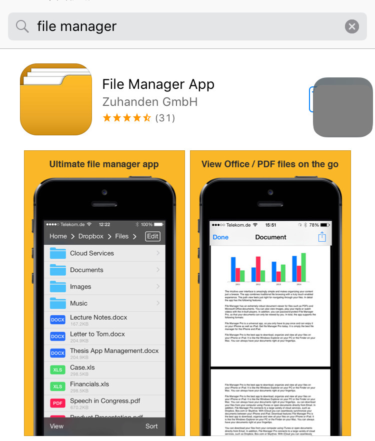 download File Manager