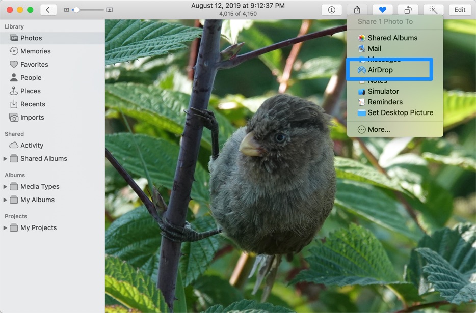 how-to-transfer-photos-from-Mac-to-iPhone-via-AirDrop-2