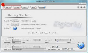 加载源 DVD 文件