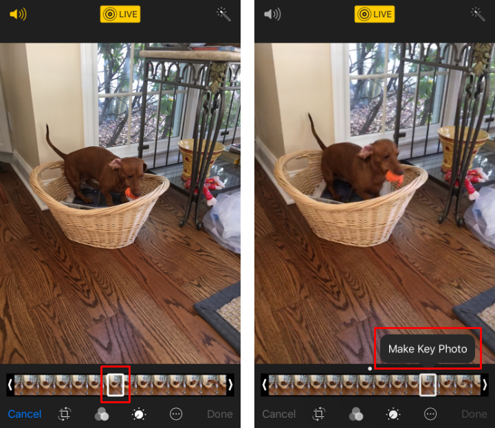 how-to-edit-photos-on-iPhone-in-Photo-app-06