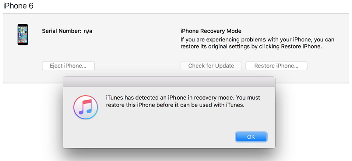 how-to-ENTER-iphone-recovery-mode-6