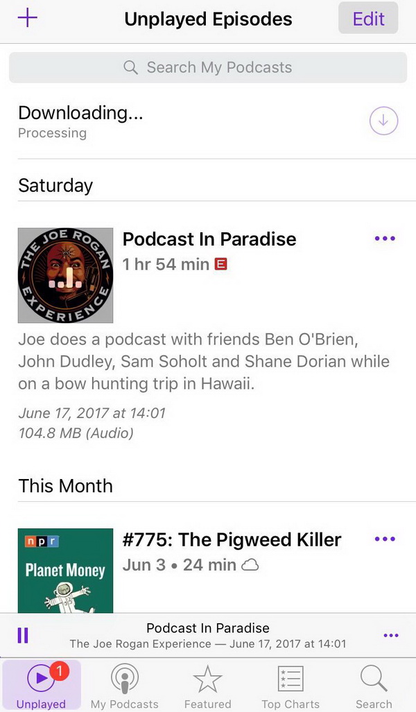 play-joe-rogan-podcast