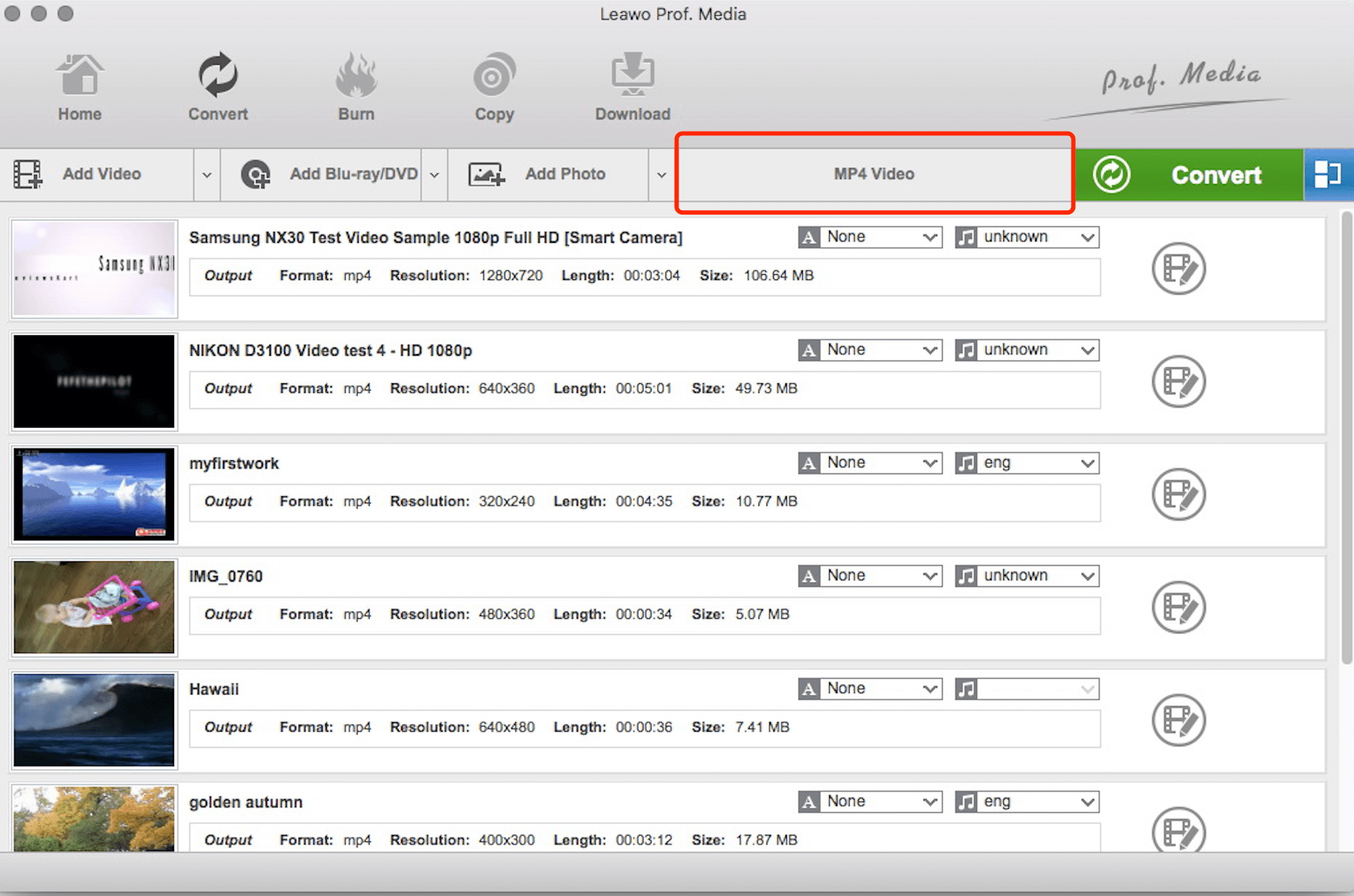 适用于 Mac 的 Windows Media Player 替代方案转换器 - 选择格式  
