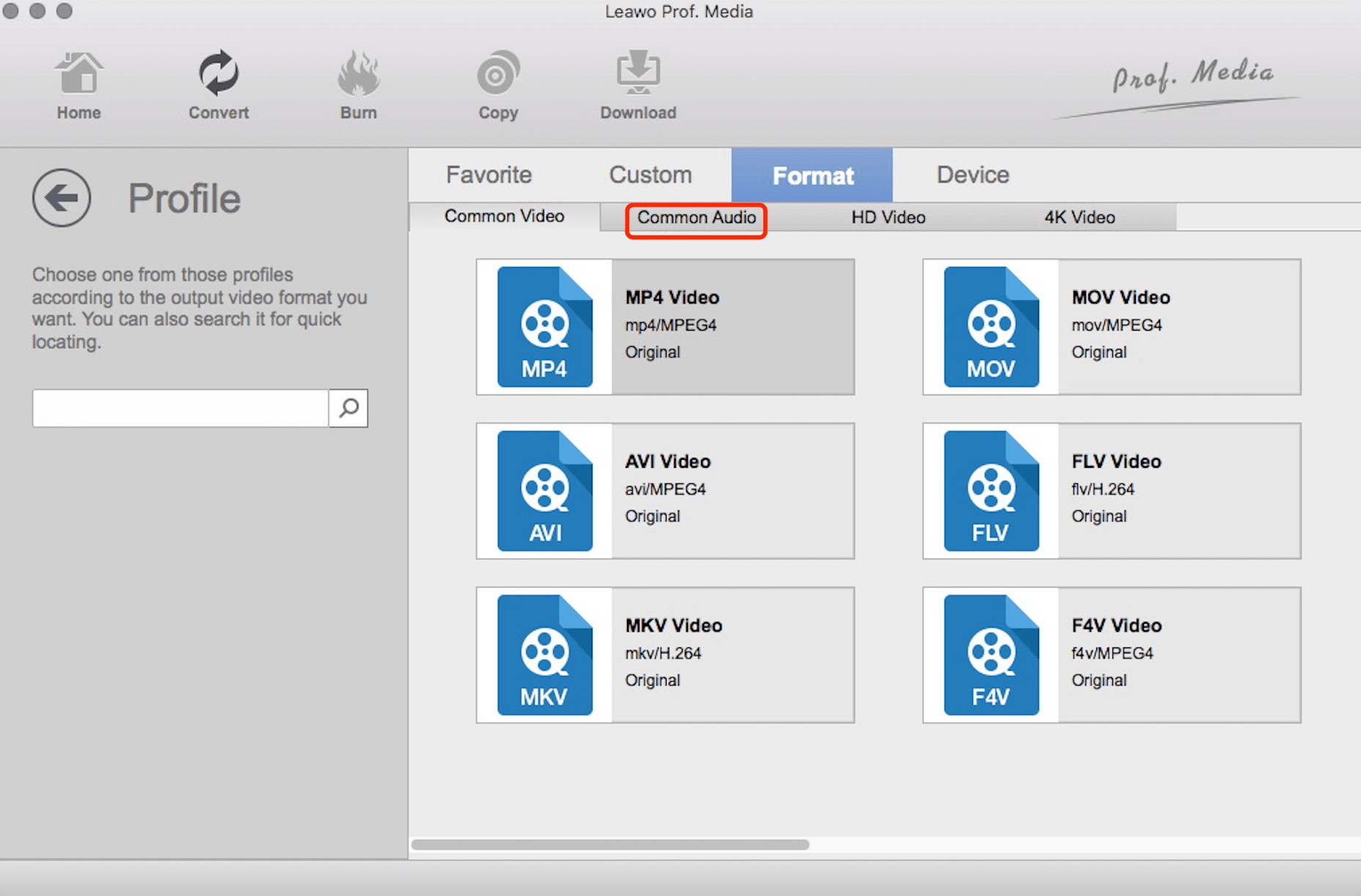  适用于 Mac 的 Windows Media Player 的替代方案转换器设置输出格式 