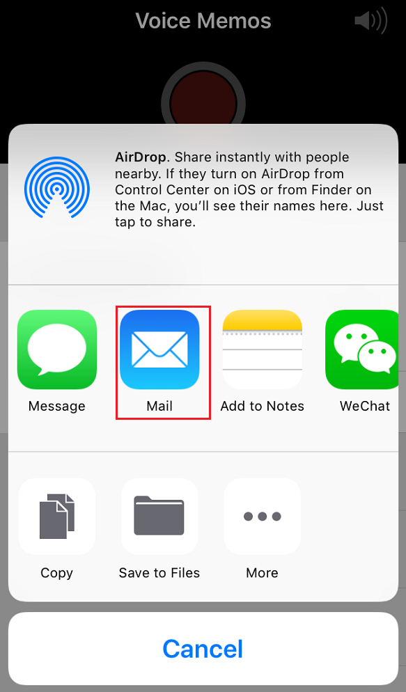 Tap the share button in the left side and then choose Mail