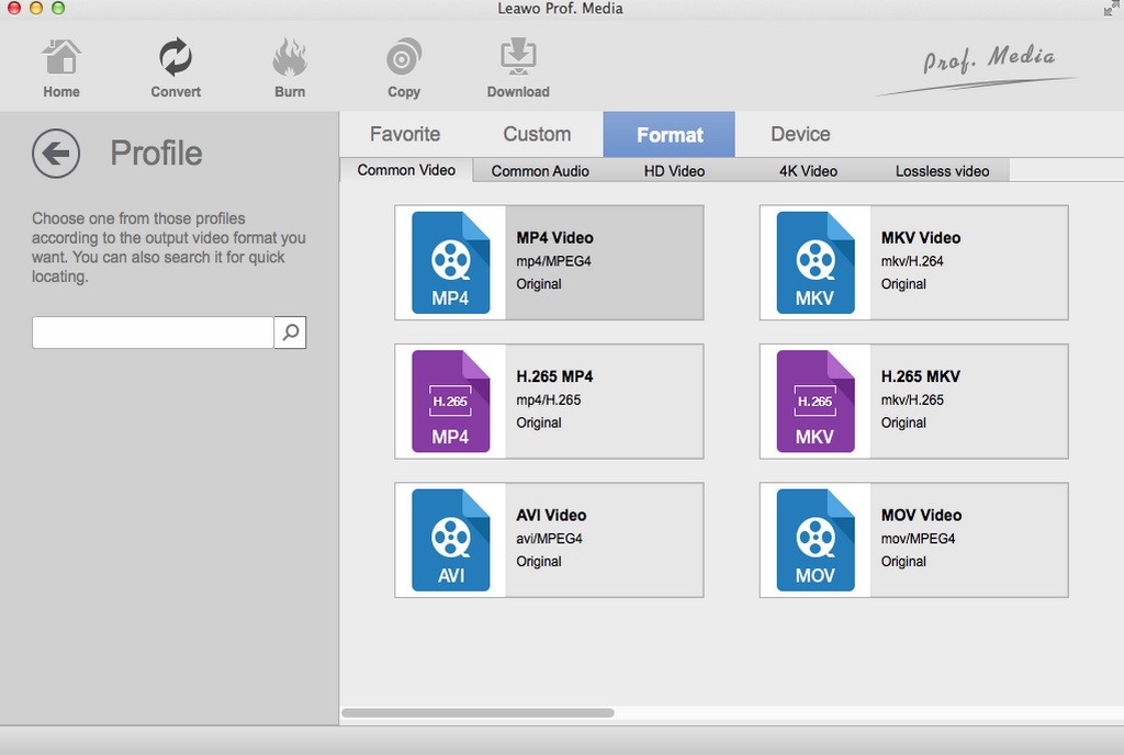  ytd-video-downloader-選擇輸出格式-2 